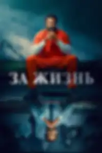 Пожизненно