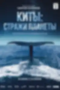 Киты: Стражи планеты